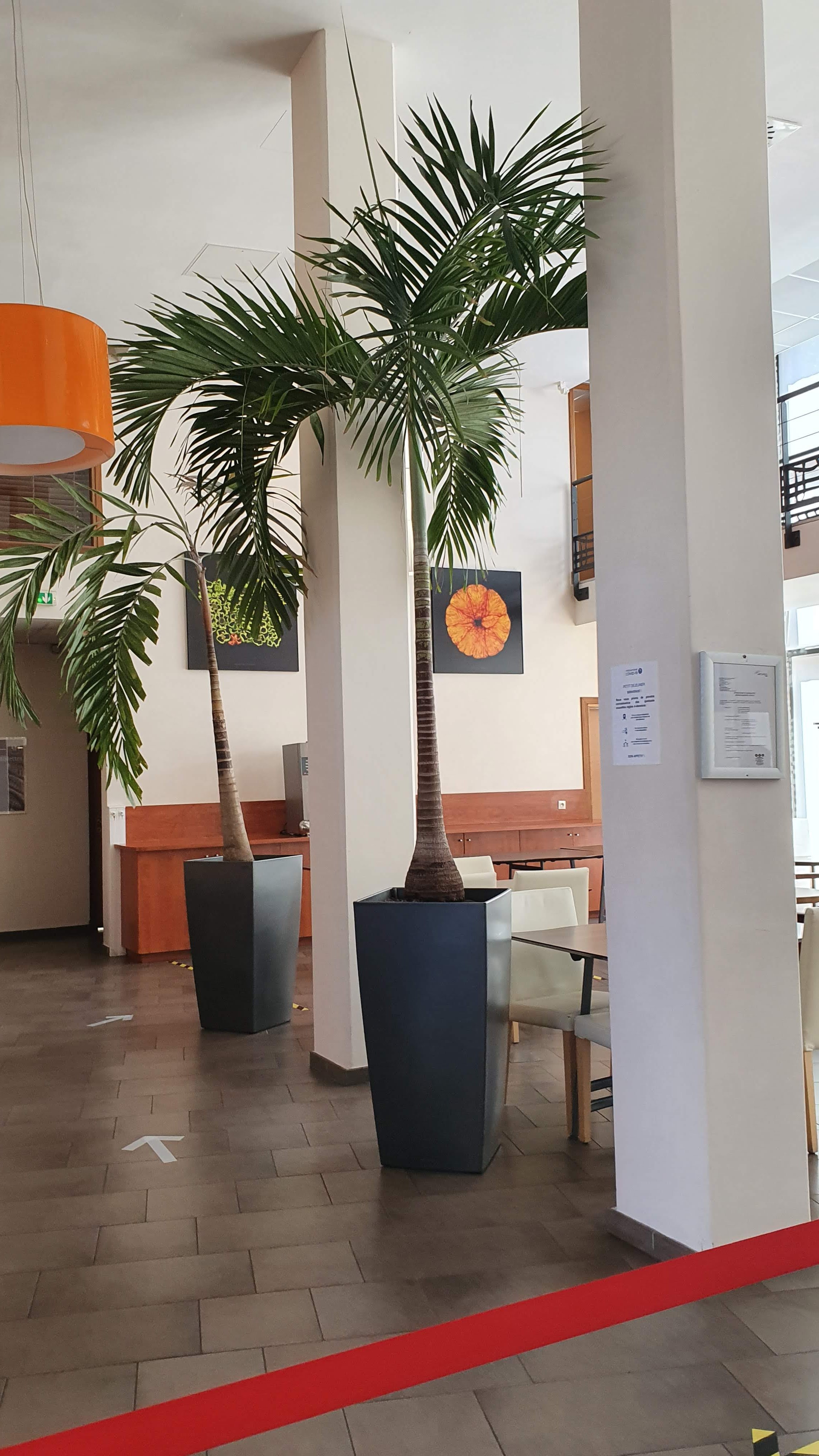 Photo n° 1 de l'avis de Tonya.a fait le 10/08/2020 à 17:07