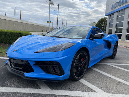 Car Paint Protection