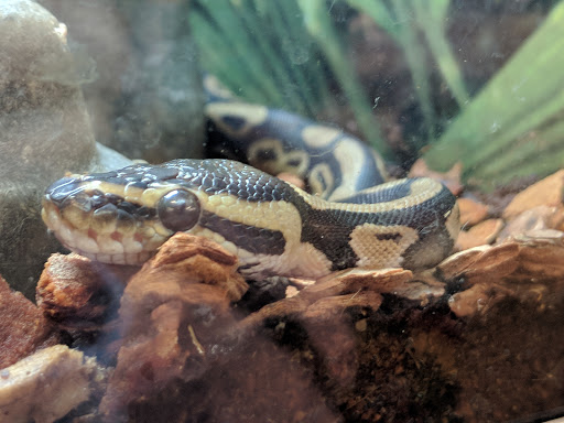 Pet Store «PetSmart», reviews and photos, 17150 Ventura Blvd, Encino, CA 91316, USA