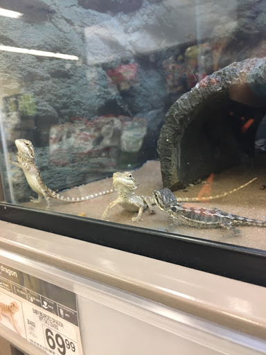 Pet Supply Store «Petco Animal Supplies», reviews and photos, 40 Colonnade Way, State College, PA 16803, USA