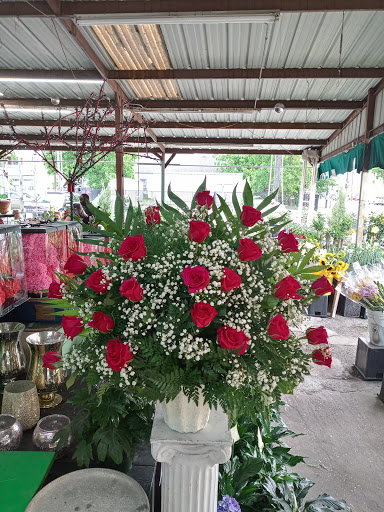 Florist «TGF Flowers», reviews and photos, 3902 Fannin St, Houston, TX 77004, USA