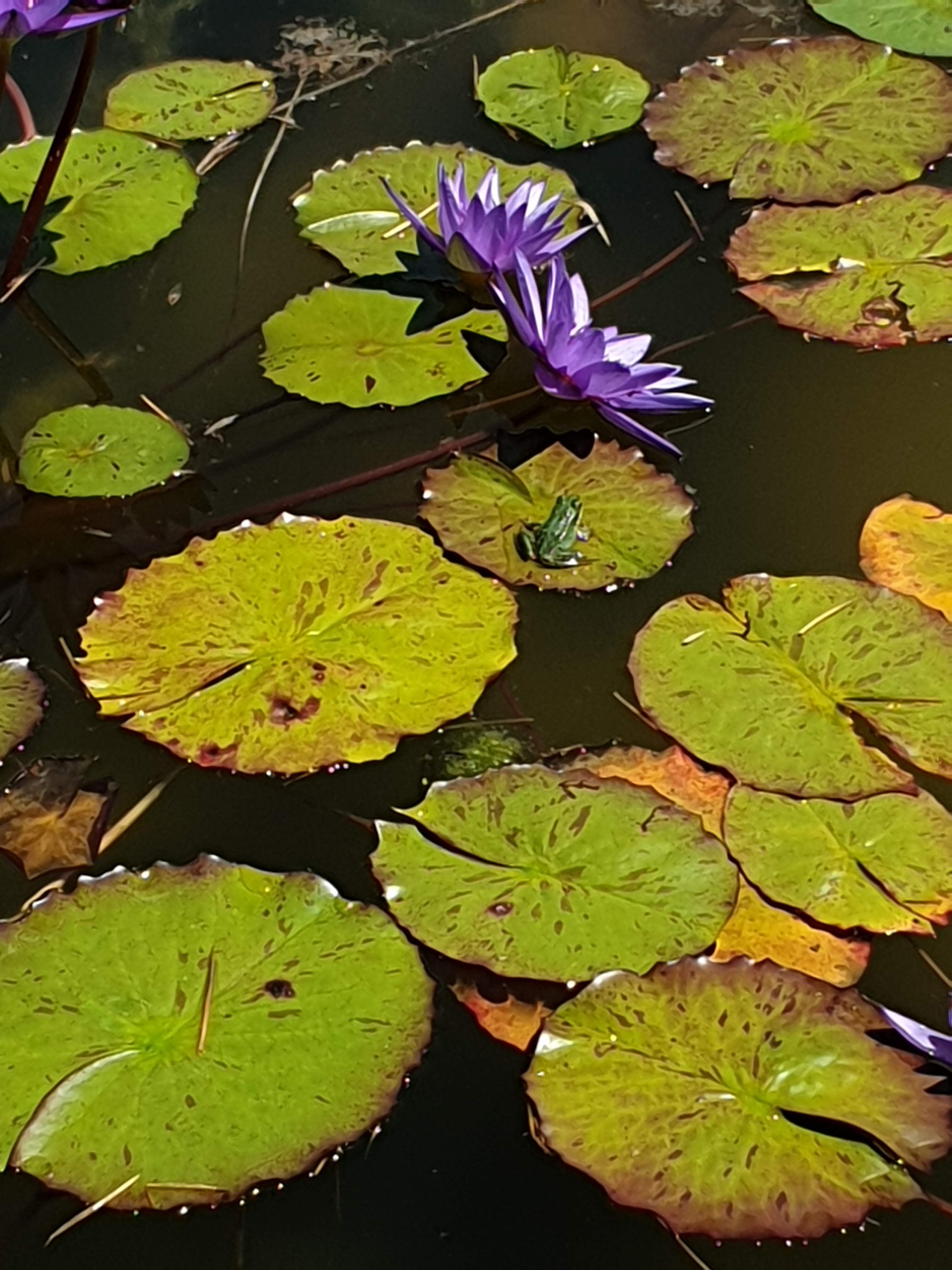 Photo n° 1 de l'avis de Stan.a fait le 07/07/2022 à 17:28