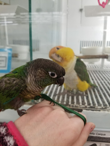 Pet Supply Store «Petco Animal Supplies», reviews and photos, 3591 Washington Blvd, Halethorpe, MD 21227, USA