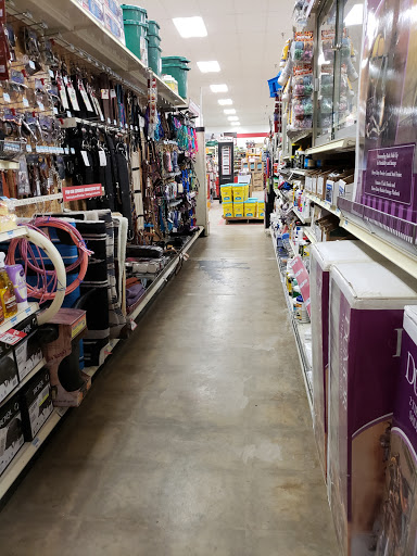 Home Improvement Store «Tractor Supply Co.», reviews and photos, 454 Hamlin Hwy #100a, Lake Ariel, PA 18436, USA