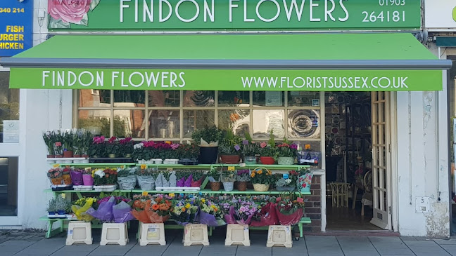 Findon Flowers