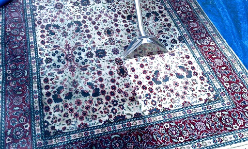 Elegance Carpet Cleaning