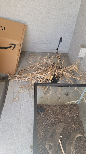 Home Improvement Store «The Home Depot», reviews and photos, 8445 Little Rd, New Port Richey, FL 34654, USA