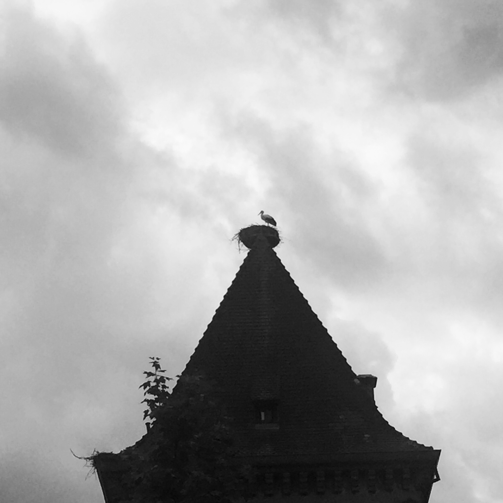 Photo n° 3 de l'avis de R... fait le 06/09/2020 à 17:35
