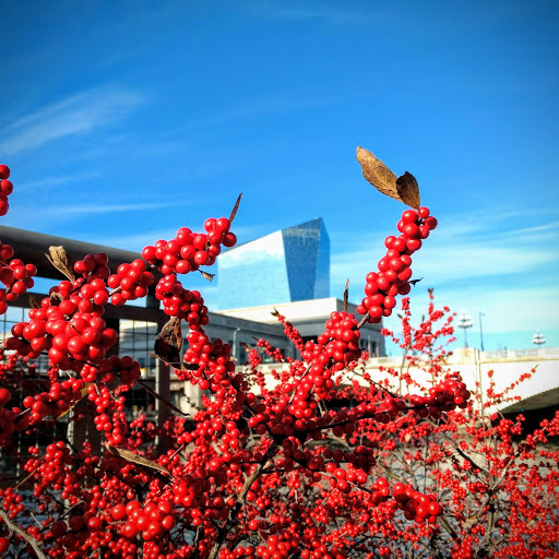 Park «Schuylkill Banks», reviews and photos, 2501 Walnut St, Philadelphia, PA 19103, USA