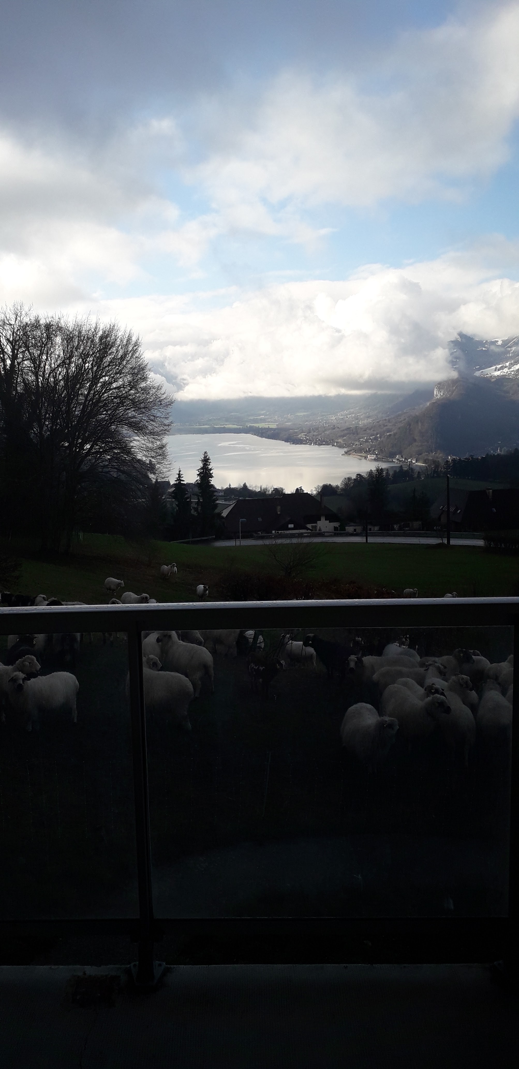 Photo n° 4 de l'avis de Laëtitia.A fait le 18/03/2019 à 11:39
