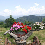 Photo n°1 de l'avis de Antonella.e fait le 16/07/2018 à 07:59 sur le  Antica Trattoria Cacciatori dal 1898 Ristorante à Fraconalto