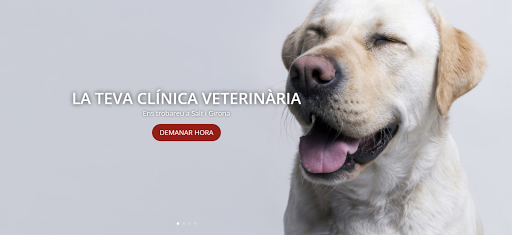 Clínica Veterinaria Animàlia en Salt