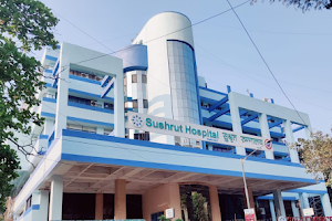 Sushrut Hospital & Research Centre image