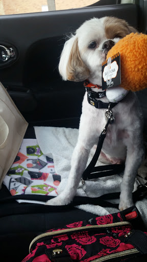 Pet Supply Store «PetSmart», reviews and photos, 1050 McKinley Pl Dr #30, San Marcos, TX 78666, USA