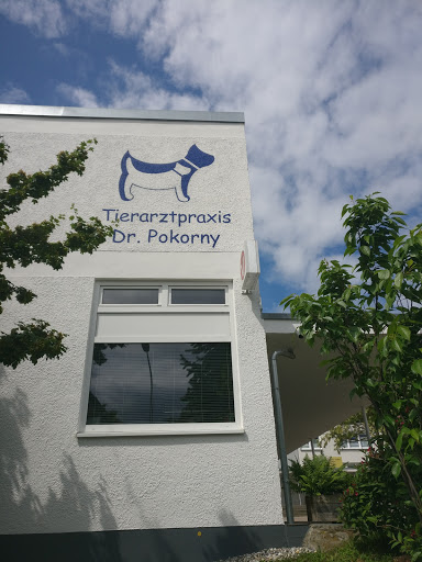 Dr. med. vet. Mark Pokorny unter Ulm, Baden Württemberg