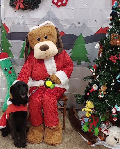 Pet Supply Store «PetSmart», reviews and photos, 4056 Atlanta Hwy, Loganville, GA 30052, USA