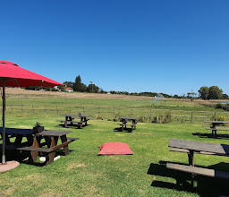 Middelvlei Wine Estate photo