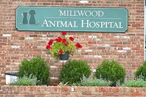 Millwood Animal Hospital image