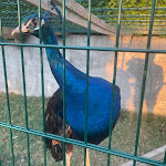 Photo n°2 de l'avis de Fabian.o fait le 07/08/2022 à 12:41 sur le  Hotel - Restaurant Görres à Wachtberg