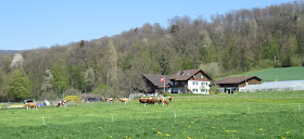 Biohof Waldegg Embrach
