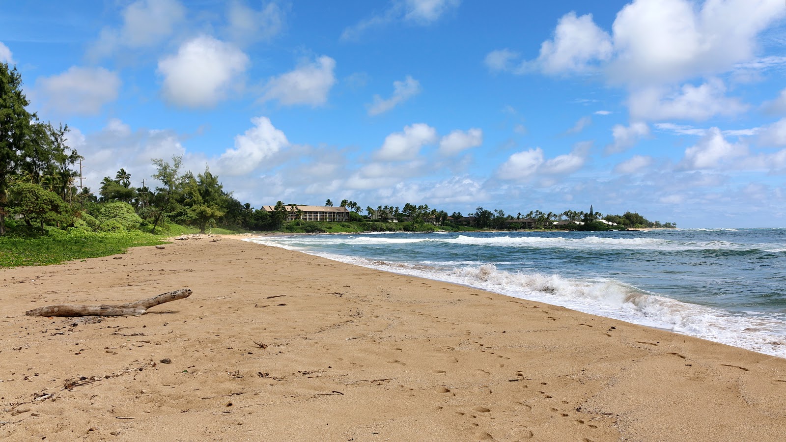 Foto de Wailua Beach com areia bege superfície