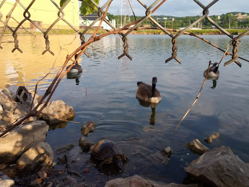 Prestera Health Services- Kanawha County