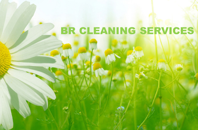 BR Cleaning Services & Secure Me