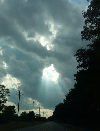 Public Golf Course «Green Oaks Golf Course», reviews and photos, 1775 E Clark Rd, Ypsilanti, MI 48198, USA