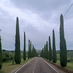 Photo n°4 de l'avis de Gaynor.e fait le 10/06/2023 à 14:25 sur le  Lambruscheria Ca' Berti à Levizzano Rangone