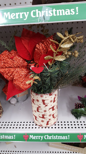 Discount Store «Dollar General», reviews and photos, 13173 US-301, Riverview, FL 33578, USA