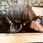 Photo n°40 de l'avis de YuKoc. fait le 31/08/2023 à 18:51 sur le  Löchlerhof à Lüsen