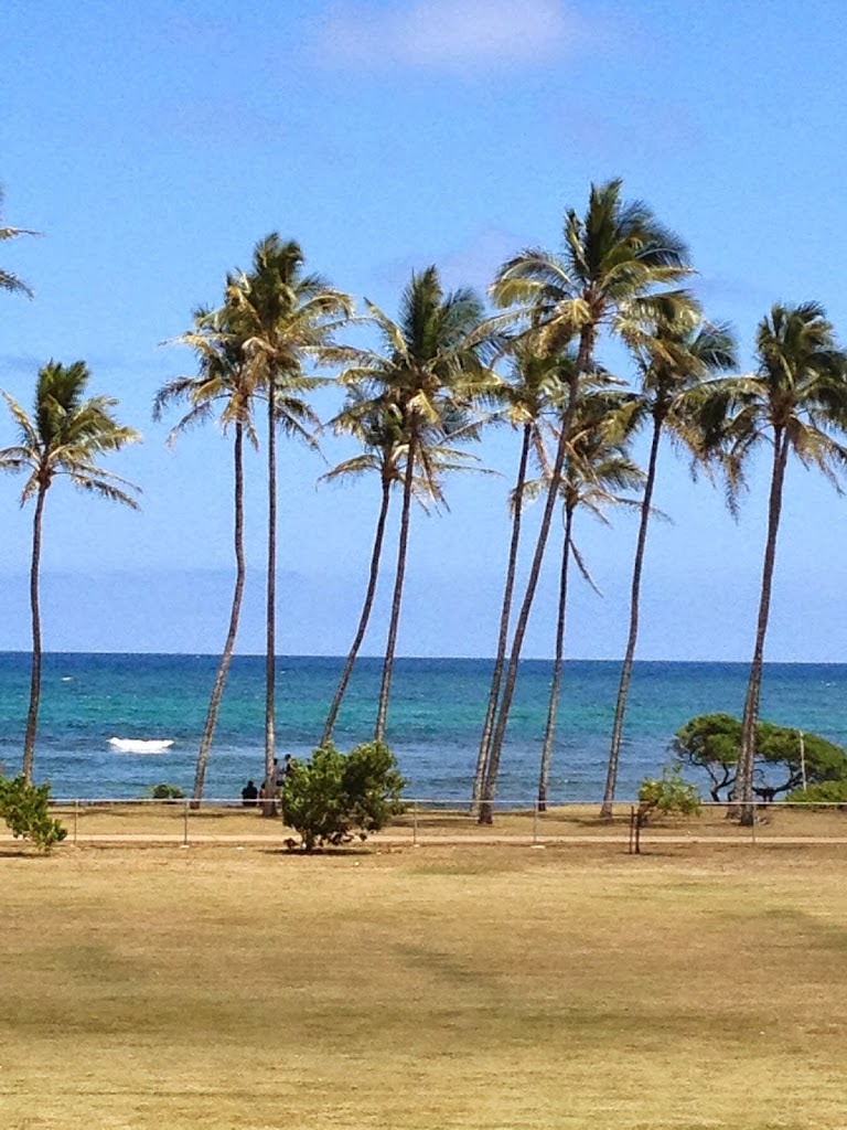 Michael's Massage - Kapaa Kauai Massage Therapy 96746