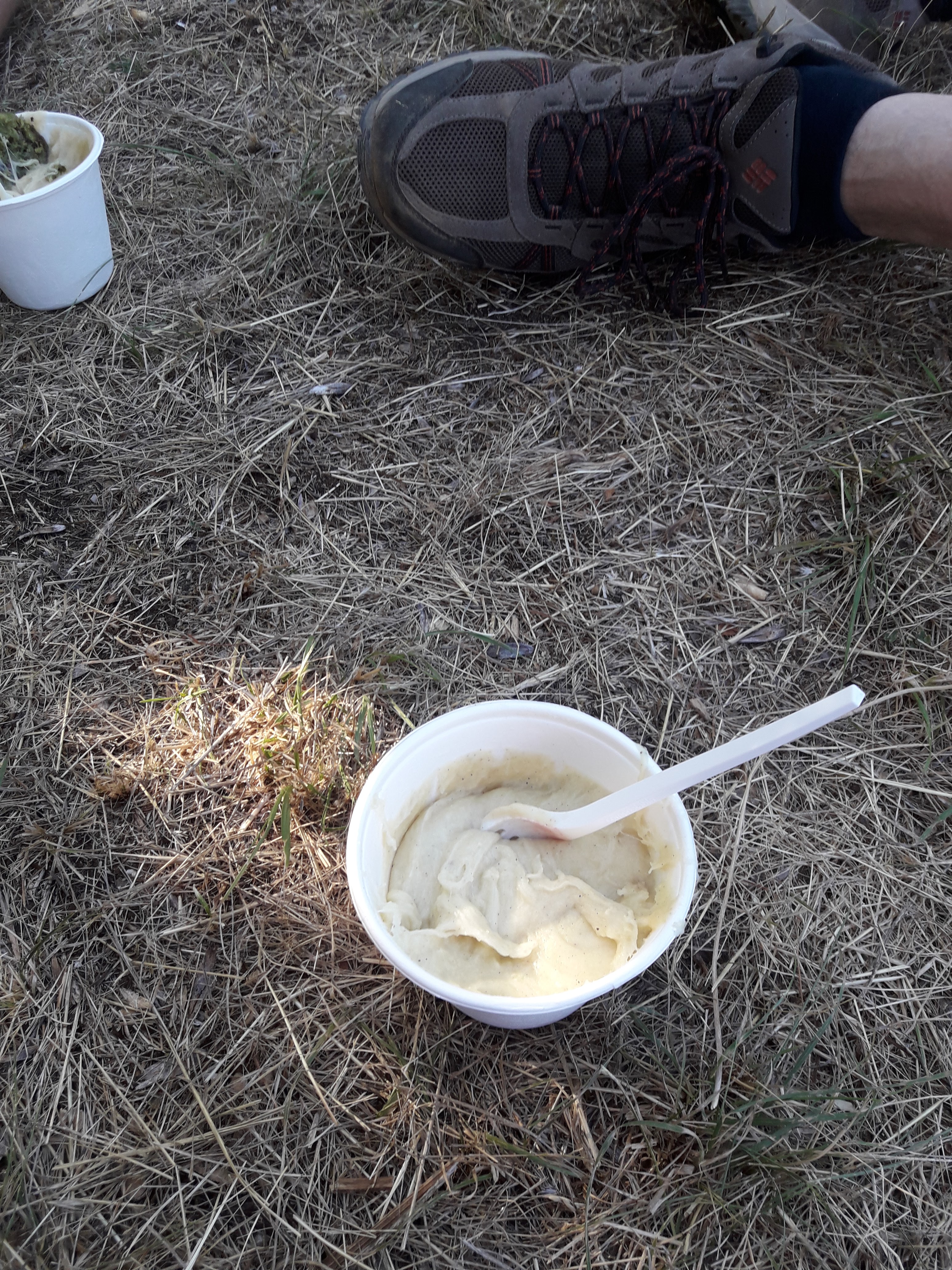 Photo n° 3 de l'avis de Martine.e fait le 07/08/2019 à 20:02