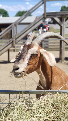 Orchard «Barton Orchards - Noxon Road Store Open Year Round - The Farm is CLOSED for the Season.», reviews and photos, 63 Apple Tree Ln, Poughquag, NY 12570, USA