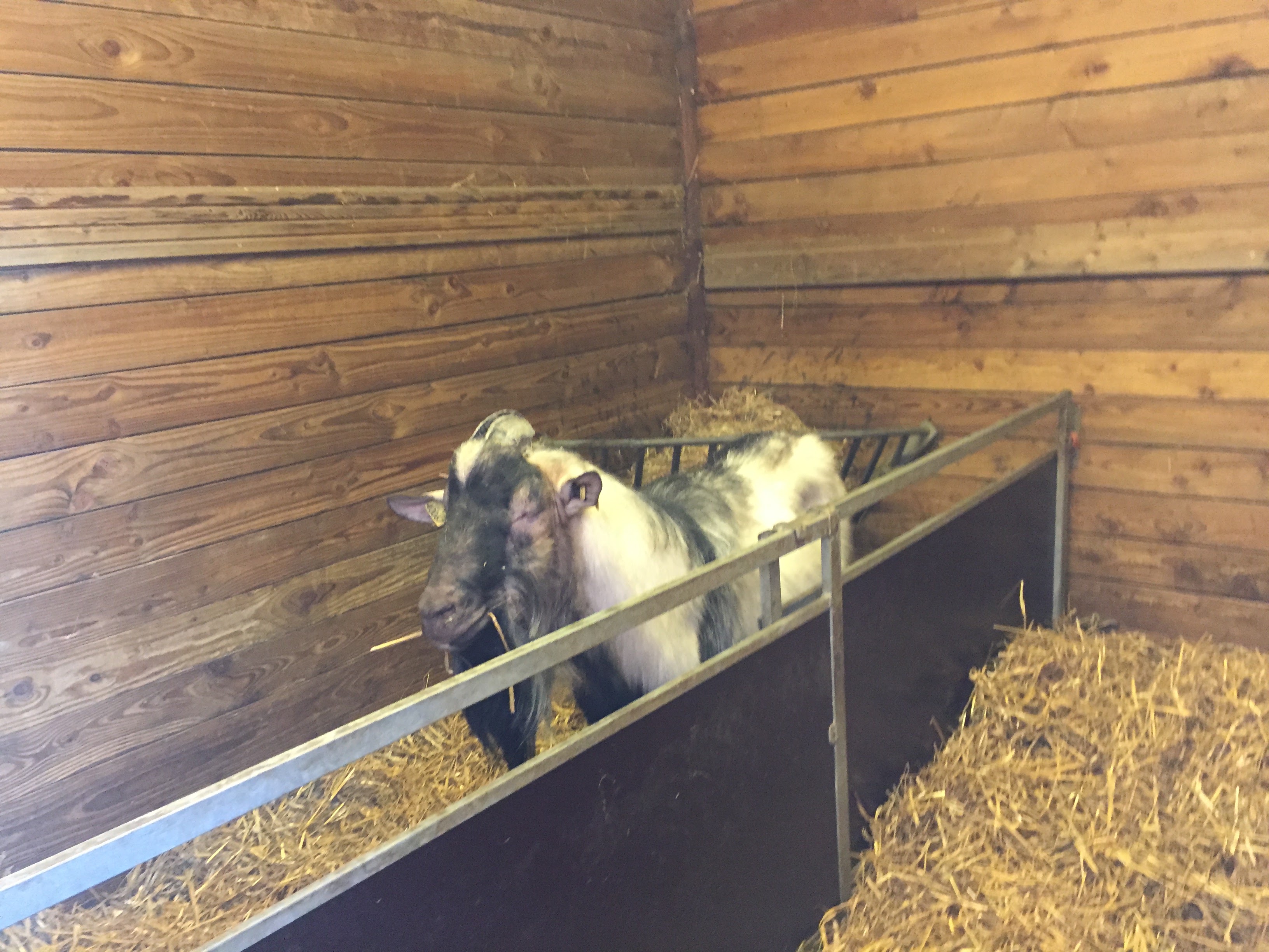 Photo n° 6 de l'avis de lou.o fait le 21/04/2018 à 14:21