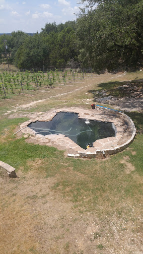 Winery «Fawncrest Vineyard», reviews and photos, 1370 West Side Cir, Canyon Lake, TX 78133, USA