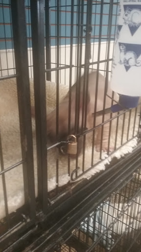 Pet Supply Store «Pet Ranch», reviews and photos, 3823 E 120th Ave, Denver, CO 80233, USA