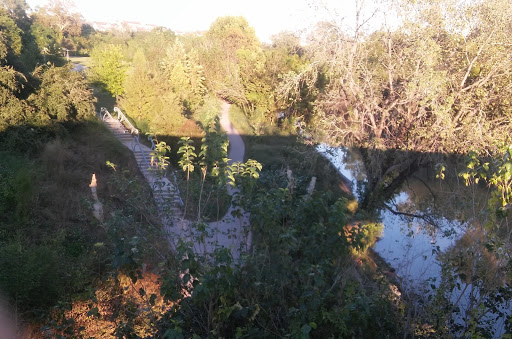 Tourist Attraction «Waugh Drive Bat Colony», reviews and photos, Waugh Dr, Houston, TX 77002, USA