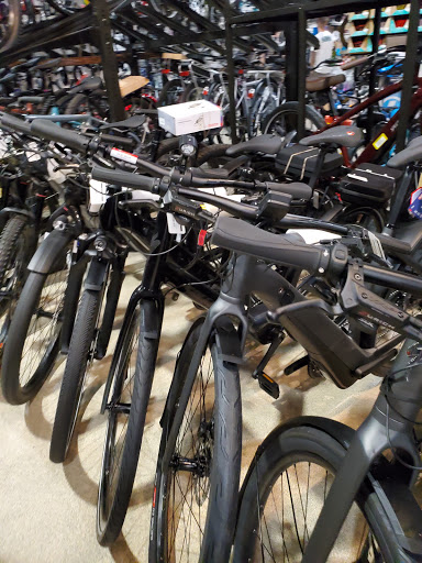Bicycle Store «Performance Cyclery», reviews and photos, 23360 Cinema Dr, Valencia, CA 91355, USA