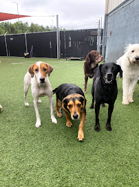 Cleveland Bed & Biscuit - Photo 5 - Car repair in Cleveland, OH, Cleveland