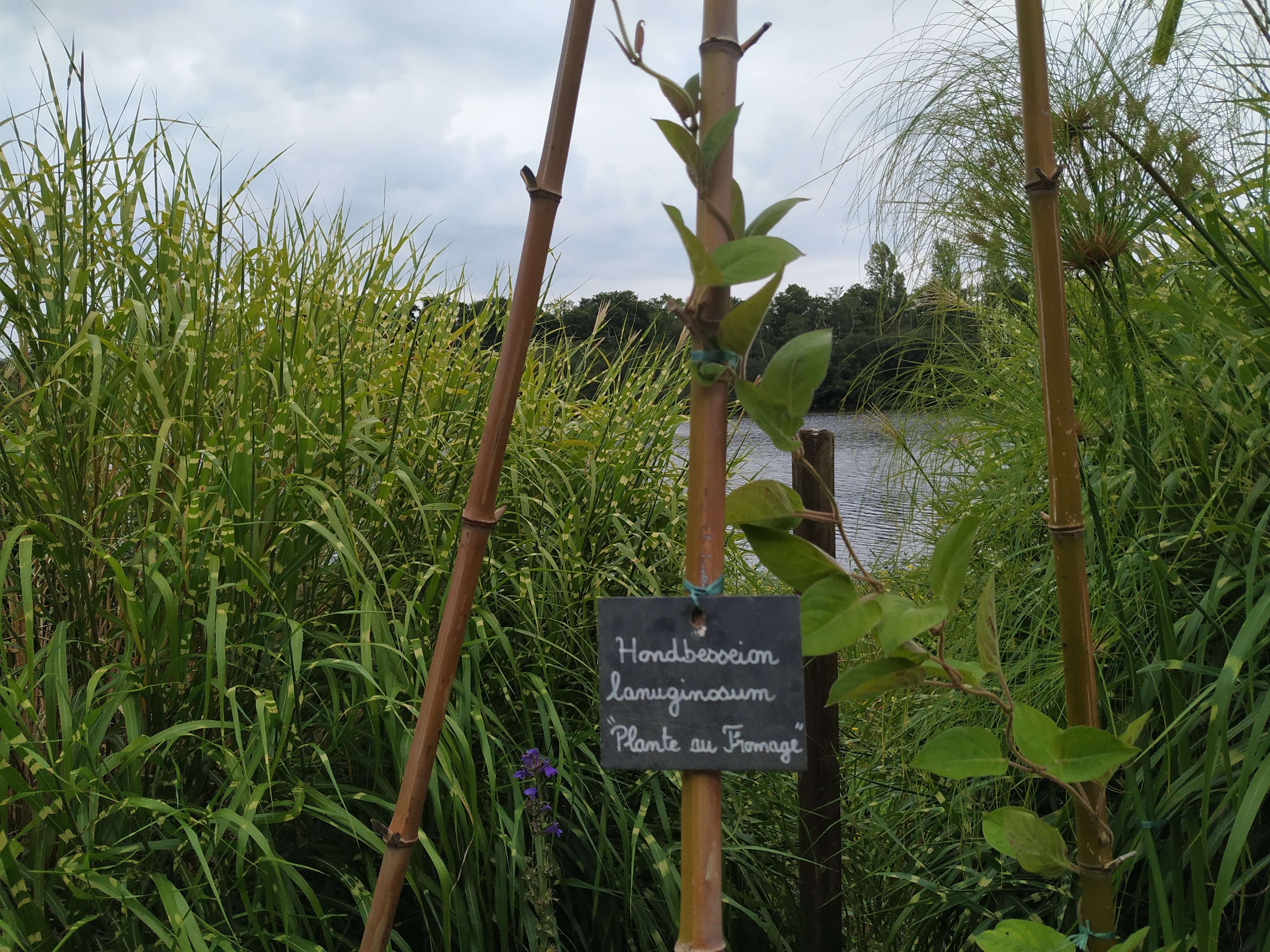 Photo n° 32 de l'avis de emmanuel.6 fait le 27/08/2019 à 16:24