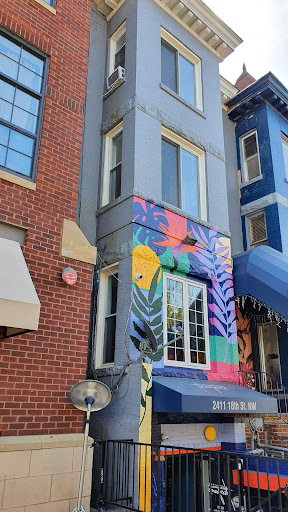 Little Shop of Flowers, 2421 18th St NW, Washington, DC 20009, USA, 