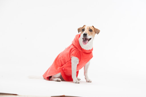 Woofit Dogwear - clothing for dogs