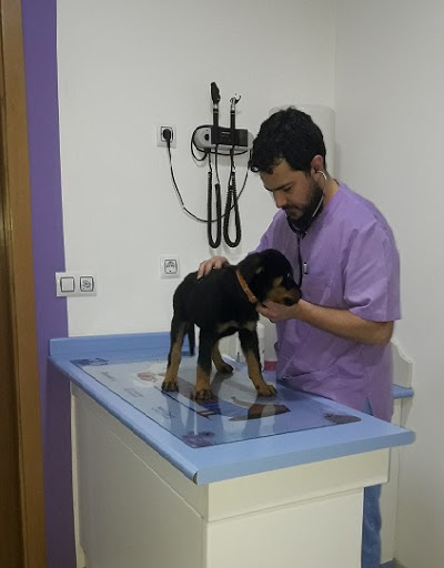 A Xungla Centro Veterinario Anicura Abros en Ourense
