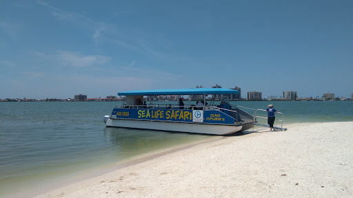 Aquarium «Clearwater Marine Aquarium», reviews and photos, 249 Windward Passage, Clearwater, FL 33767, USA