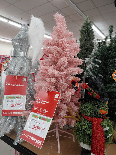 Discount Store «Big Lots», reviews and photos, 2431 Columbia Blvd, Bloomsburg, PA 17815, USA