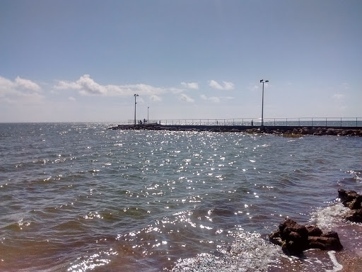 Aquarium «The Aquarium at Rockport Harbor, Inc.», reviews and photos, 706 Navigation Cir, Rockport, TX 78382, USA