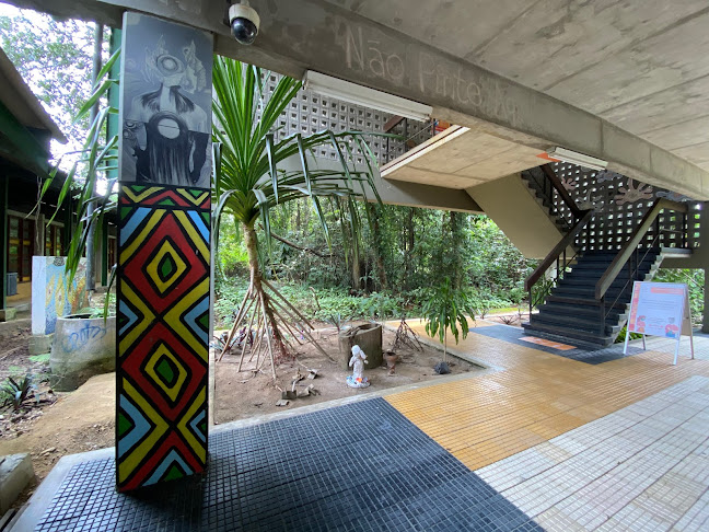 Faculdade de Artes - Faartes/Ufam
