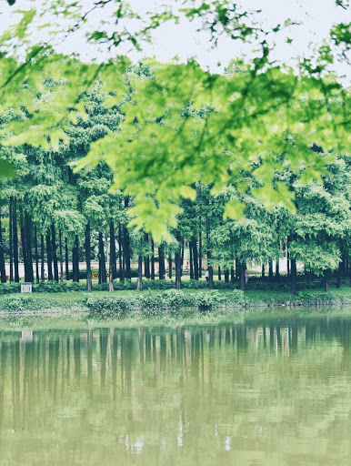 广东石门国家级森林公园