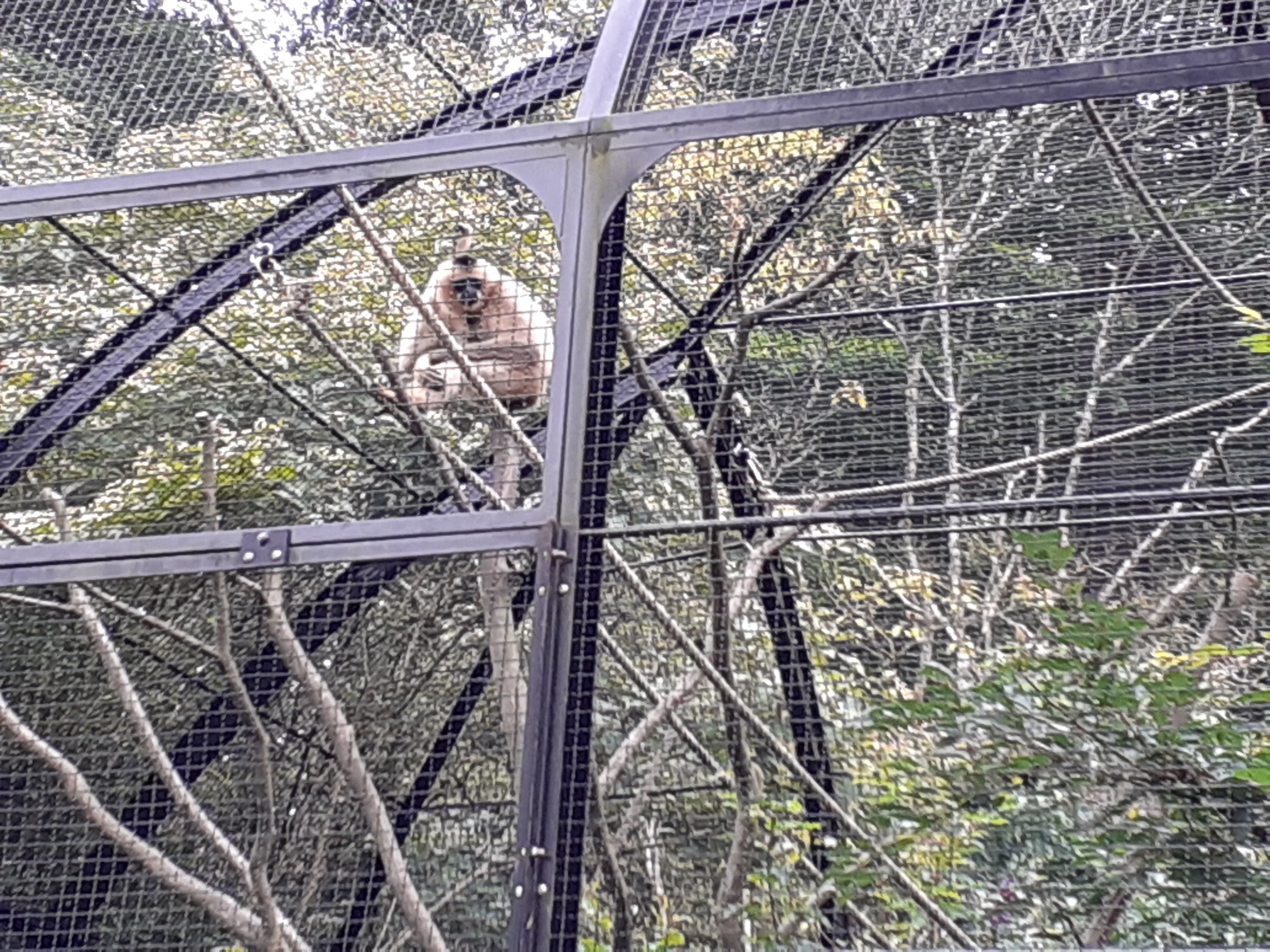 Photo n° 20 de l'avis de Ciccio.e fait le 28/07/2020 à 01:20